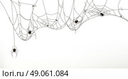Spiders and spider web, vector set. Стоковая иллюстрация, агентство Ingram Publishing / Фотобанк Лори