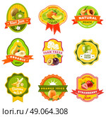 Fuits Emblem Labels set Color. Natural organically grown fruits products emblems labels collection for healthy responsible diet abstract isolated vector illustration. Стоковая иллюстрация, агентство Ingram Publishing / Фотобанк Лори
