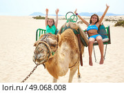 Girls riding Camel in Fuerteventura desert at Canary Islands of Spain. Стоковое фото, агентство Ingram Publishing / Фотобанк Лори