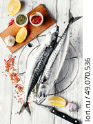 Thawed fresh fish mackerel with spices and marinade with lemon.Photograph high key.Top view. Carcasses frozen mackerel. Стоковое фото, агентство Ingram Publishing / Фотобанк Лори