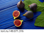 figs raw cutted fruits and fig tree leaves on blue wooden table. Стоковое фото, агентство Ingram Publishing / Фотобанк Лори