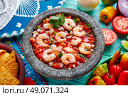 Ceviche de Camaron shrimp in molcajete from Mexico. Стоковое фото, агентство Ingram Publishing / Фотобанк Лори
