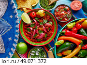 Cochinita Pibil Mexican platillo food with red onion and coriander. Стоковое фото, агентство Ingram Publishing / Фотобанк Лори