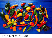 Mexican hot chili peppers colorful mix habanero poblano serrano jalapeno sweet. Стоковое фото, агентство Ingram Publishing / Фотобанк Лори