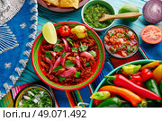 Cochinita Pibil Mexican platillo food with red onion and coriander. Стоковое фото, агентство Ingram Publishing / Фотобанк Лори