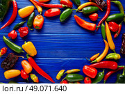 Mexican hot chili peppers colorful mix habanero poblano serrano jalapeno blue background. Стоковое фото, агентство Ingram Publishing / Фотобанк Лори