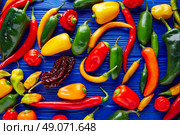 Mexican hot chili peppers colorful mix habanero poblano serrano jalapeno sweet. Стоковое фото, агентство Ingram Publishing / Фотобанк Лори