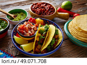 Tacos al pastor Mexican with coriander pineapple and chili. Стоковое фото, агентство Ingram Publishing / Фотобанк Лори