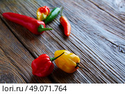 Mexican hot chili peppers colorful mix habanero poblano serrano jalapeno sweet on wood. Стоковое фото, агентство Ingram Publishing / Фотобанк Лори