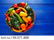 Mexican hot chili peppers colorful mix habanero poblano serrano jalapeno sweet. Стоковое фото, агентство Ingram Publishing / Фотобанк Лори