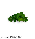 Green clovers on white with shadow, decoration for greeting cards. St Patricks day vector design. Стоковая иллюстрация, агентство Ingram Publishing / Фотобанк Лори