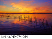 La Albufera lake sunset in El Saler of Valencia at Spain. Стоковое фото, агентство Ingram Publishing / Фотобанк Лори