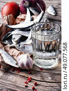 Glass of vodka,smoked sprat,spices in a rustic traditional russian style. Стоковое фото, агентство Ingram Publishing / Фотобанк Лори