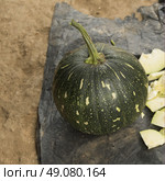 Close-up of gourd for sale at market, Punakha, Punakha District, Bhutan. Стоковое фото, агентство Ingram Publishing / Фотобанк Лори