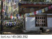 Prayer flags with stupa at the Taktsang Monastery, Paro, Paro District, Paro Valley, Bhutan. Стоковое фото, агентство Ingram Publishing / Фотобанк Лори