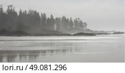 View of shoreline, Pacific Rim National Park Reserve, Tofino, Vancouver Island, British Columbia, Canada. Стоковое фото, агентство Ingram Publishing / Фотобанк Лори