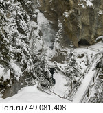 Trail at Johnston Canyon, Banff National Park, Alberta, Canada. Стоковое фото, агентство Ingram Publishing / Фотобанк Лори