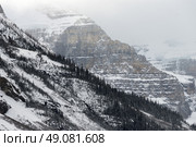 Snow covered trees on mountain, Lake Louise, Banff National Park, Alberta, Canada. Стоковое фото, агентство Ingram Publishing / Фотобанк Лори