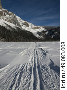 Ski tracks in snow covered landscape with mountain in winter, Emerald Lake, Field, British Columbia, Canada. Стоковое фото, агентство Ingram Publishing / Фотобанк Лори