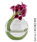 calla lilies in glass vase isolated on white background. Стоковое фото, агентство Ingram Publishing / Фотобанк Лори