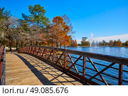 Houston Hermann park conservancy Mcgovern lake at autumn in Texas. Стоковое фото, агентство Ingram Publishing / Фотобанк Лори