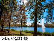 Houston Hermann park conservancy Mcgovern lake at autumn in Texas. Стоковое фото, агентство Ingram Publishing / Фотобанк Лори