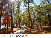 Houston Hermann park conservancy track at autumn in Texas. Стоковое фото, агентство Ingram Publishing / Фотобанк Лори