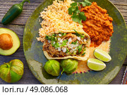 Mexican carnitas tacos with salsa and Mexico food ingredients. Стоковое фото, агентство Ingram Publishing / Фотобанк Лори