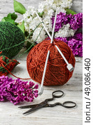 Balls of yarn for knitting.  clew of wool yarn for knitting and branches of lilac blossoms. Стоковое фото, агентство Ingram Publishing / Фотобанк Лори