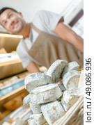 Cheese monger. Стоковое фото, агентство Ingram Publishing / Фотобанк Лори