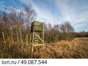 Hunting tower with a ladder in autumn nature. Стоковое фото, агентство Ingram Publishing / Фотобанк Лори