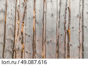 Raw wood background with grey planks with bark. Стоковое фото, агентство Ingram Publishing / Фотобанк Лори