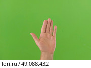 Waving Hand Emoji. Man Gesturing Hello, Hi, Bye. Male Hand Showing Sign of Greeting or Goodbye. Isolate Chroma Key Green Screen Background. Body Language. Close Up. Isolated Emoticon Gesture. Saluting. Стоковое фото, фотограф Марина Демидюк / Фотобанк Лори