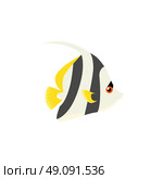 Heniochus Intermedius Fish Flat Design. Heniochus intermedius fish flat design. Beautifully painted fish living in the ocean or sea from the tail and fin. Creating living under water with a striped pattern isolated. Vector illustration. Стоковая иллюстрация, агентство Ingram Publishing / Фотобанк Лори