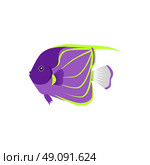 Heniochus Intermedius Fish Flat Design. Heniochus intermedius fish flat design. Beautifully painted fish living in the ocean or sea from the tail and fin. Creating living under water with a striped pattern isolated. Vector illustration. Стоковая иллюстрация, агентство Ingram Publishing / Фотобанк Лори