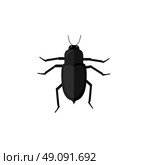 Protaetia May Bug Insect Design Flat. Protaetia may bug insect design flat. Small insect chafer with black legs and antennae and black wings folding in the shell. Wildlife creating isolation on white background. Vector illustration. Стоковая иллюстрация, агентство Ingram Publishing / Фотобанк Лори