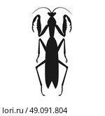 Black Grasshopper Icon. Nature black cartoon locust and cute flat grasshopper icon. Wild creature antenna invertebrate cute grasshopper agricultural zoo large green locust nature insect flat vector illustration. Стоковая иллюстрация, агентство Ingram Publishing / Фотобанк Лори