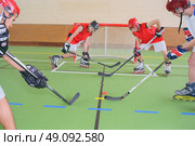 playing hockey. Стоковое фото, агентство Ingram Publishing / Фотобанк Лори