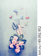 Gardening tools and pink pale flowers in pot, top view. Стоковое фото, агентство Ingram Publishing / Фотобанк Лори
