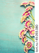 Glorious flowers bunch on turquoise blue shabby chic background , top view, border. Festive greeting or invitation card with gerbera flowers, vertical. Стоковое фото, агентство Ingram Publishing / Фотобанк Лори