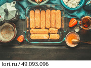 Strawberry tiramisu making. Glass dish with italian savoiardi cookies ,tiramisu ingredients and cooking tools on rustic kitchen table, top view. Italian food concept. Стоковое фото, агентство Ingram Publishing / Фотобанк Лори