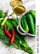 pickling cucumbers. Стоковое фото, агентство Ingram Publishing / Фотобанк Лори