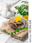 Healing dandelion root. National therapeutic agent from a flower and dandelion root. Стоковое фото, агентство Ingram Publishing / Фотобанк Лори