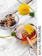 Healing dandelion root. bowl of healing infusion of the flower and the root and spring of the dandelion. Стоковое фото, агентство Ingram Publishing / Фотобанк Лори