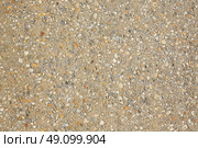 Palm Beach shells concrete soil along the Ocean Blvd in Florida. Стоковое фото, агентство Ingram Publishing / Фотобанк Лори
