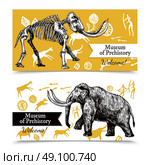 Sketch Hand Drawn Mammoth Banners. Horizontal welcome to museum of prehistory banners with sketch hand drawn mammoth and its skeleton on background with rock paintings isolated vector illustration. Стоковая иллюстрация, агентство Ingram Publishing / Фотобанк Лори