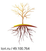 Tree With Root Isolated Retro Cartoon Illustration. Single small bald tree with root on white background flat retro cartoon isolated vector illustration. Стоковая иллюстрация, агентство Ingram Publishing / Фотобанк Лори