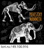 Sketch Hand Drawn Mammoth Chalkboard. Sketch hand drawn mammoth and its skeleton chalkboard on dark background with rock paintings isolated vector illustration. Стоковая иллюстрация, агентство Ingram Publishing / Фотобанк Лори