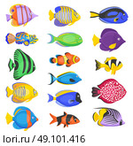 Exotic Fish Set. Exotic tropical fish set in different shapes and colors flat isolated vector illustration. Стоковая иллюстрация, агентство Ingram Publishing / Фотобанк Лори
