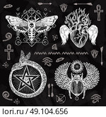 Chalkboard Tattoo Set. Chalkboard tattoo set butterfly burning heart snake circled with star and scarab with wings isolated vector illustration. Стоковая иллюстрация, агентство Ingram Publishing / Фотобанк Лори